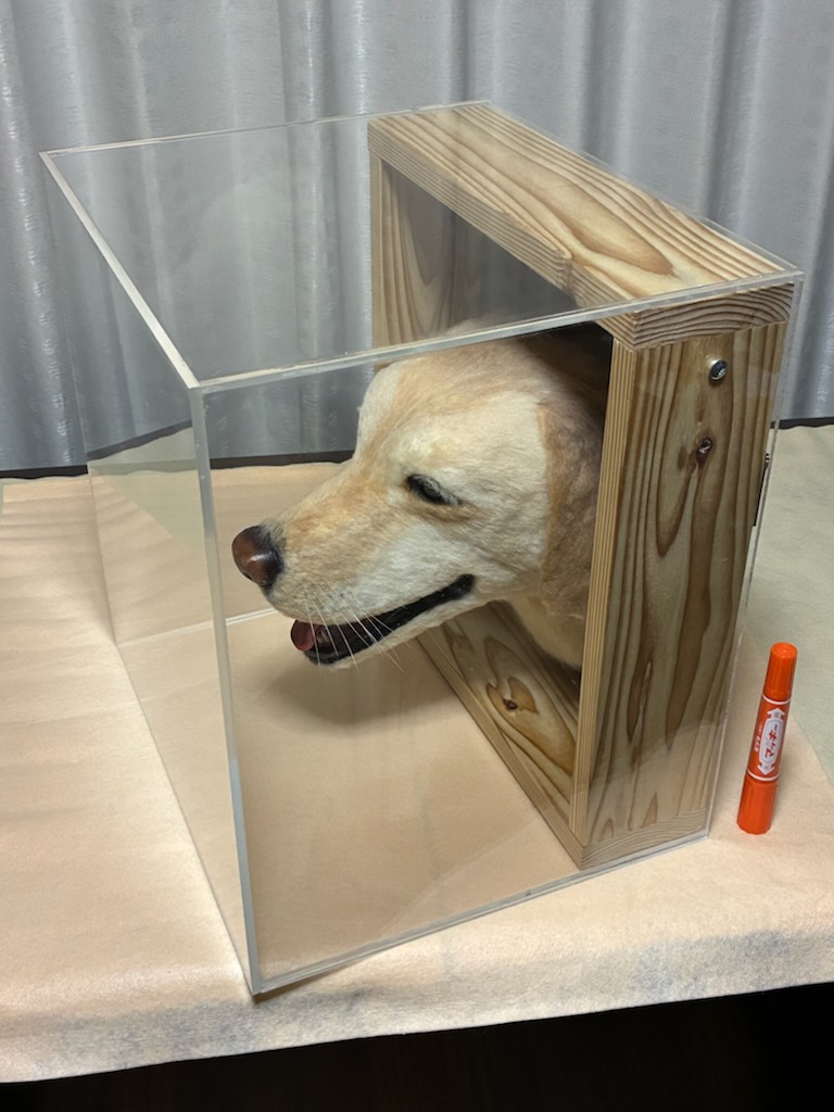 ラブラドール参考作品3